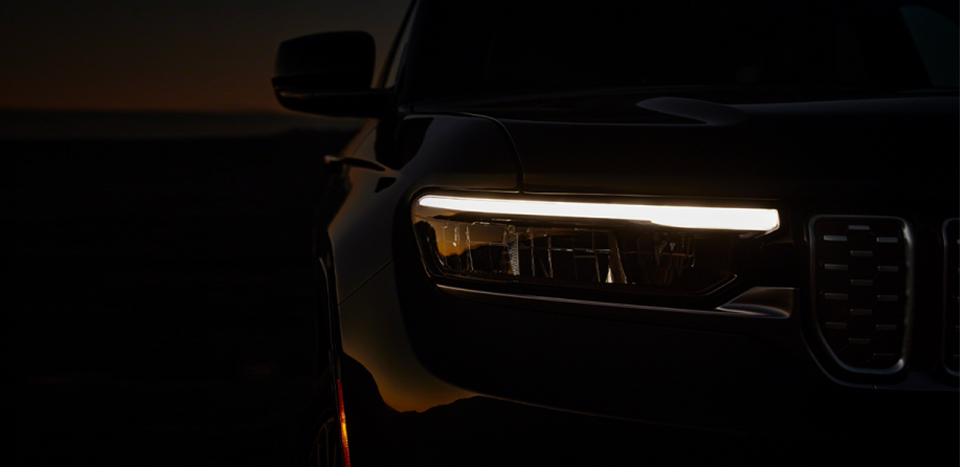 WILD COMES OUT. AFTER DARK